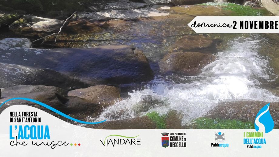 Passeggiata soft nella Foresta di Sant’Antonio