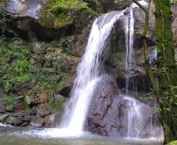 I cammini dell'acqua | Area Pratese