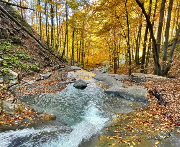 I cammini dell'acqua | Valdisieve