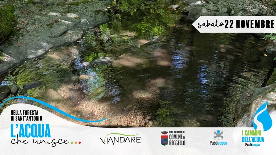 Trekking fotografico nella Foresta di Sant’Antonio