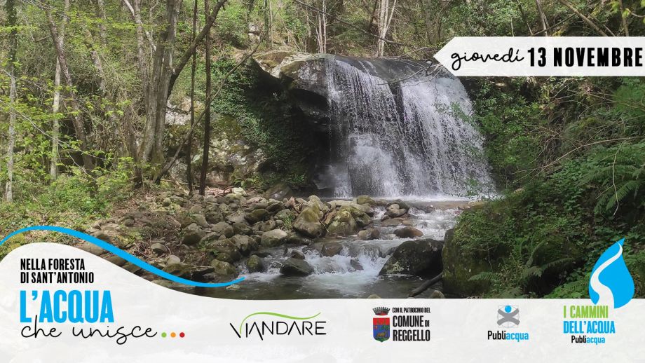 Passeggiata con l’autrice nella Foresta di Sant’Antonio