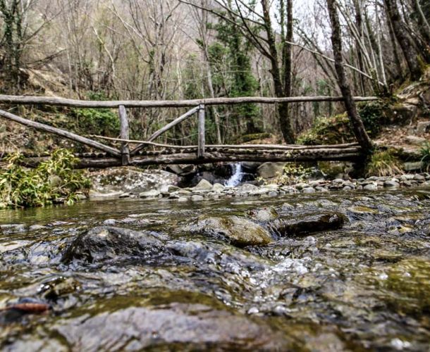 I cammini dell'acqua | Valdarno