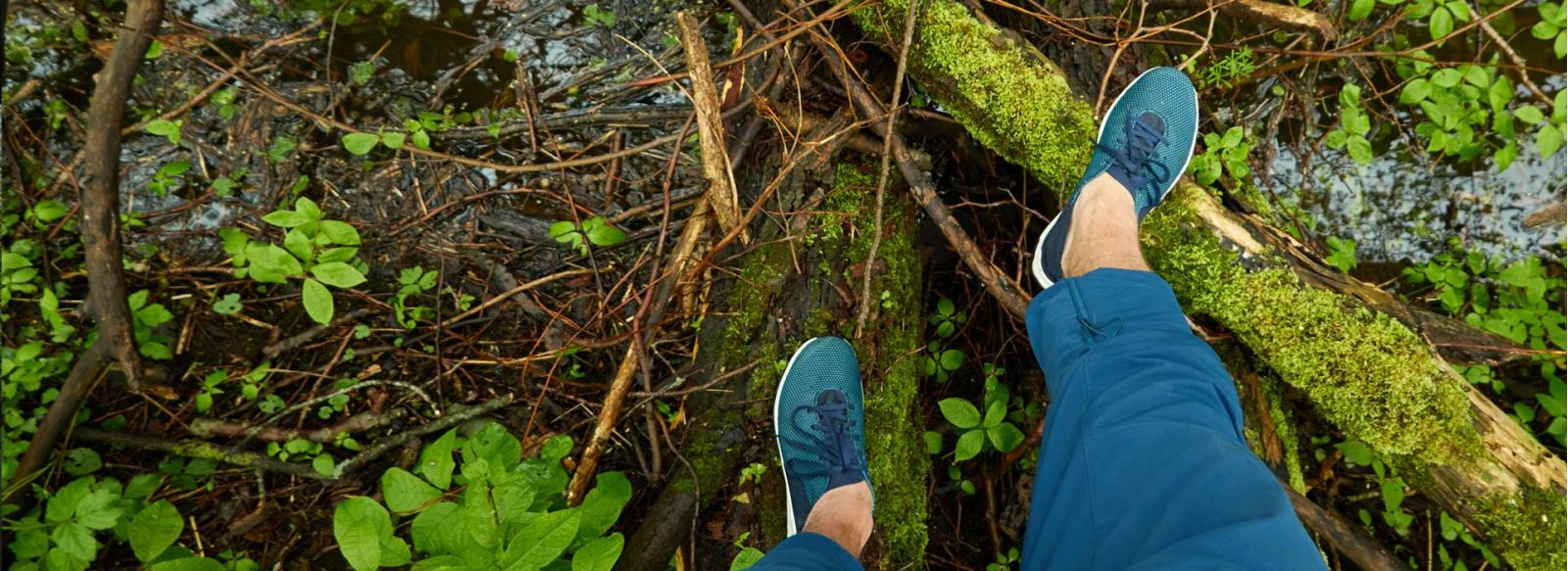 I cammini dell'acqua | Publiacqua