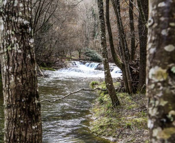 I cammini dell'acqua | Chianti